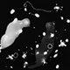 <em>Constellation Cats</em>, gelatin silver print, 33”x40”, in collaboration with Dr. Thomas Russo